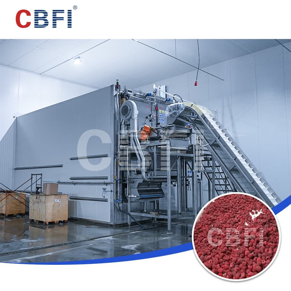 2000kg/h Fluidized Bed Quick Freezer Empowering Berry Industry Upgrading in Five Central Asian Stan Countries