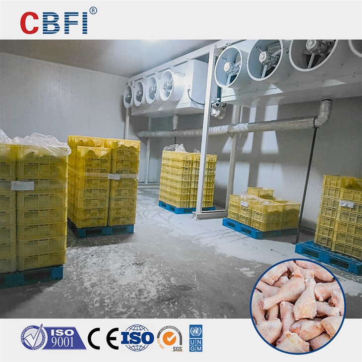 Large Slaughter Cold Storage Food Cold Room Customized For Different Cold Storage Room