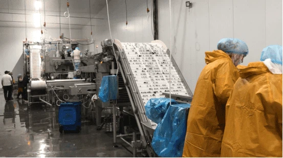 14compressed 14compressed