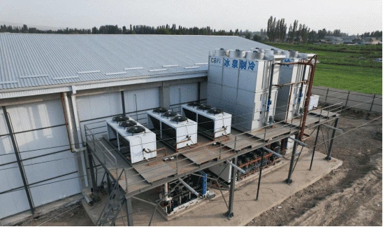 17compressed 17compressed