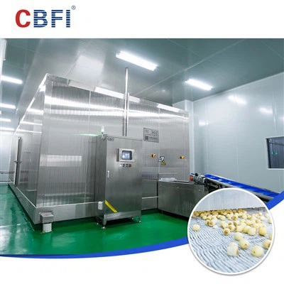 CBFI Double Spiral Freezer, Opening A New Chapter Of High-Efficiency Growth For Frozen Food Enterprises