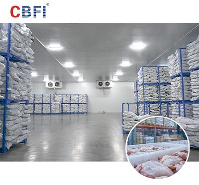 CBFI Large Seafood Cold Storage Solutions For Southeast Asia: The Path To Excellent Preservation in Tropical Climates